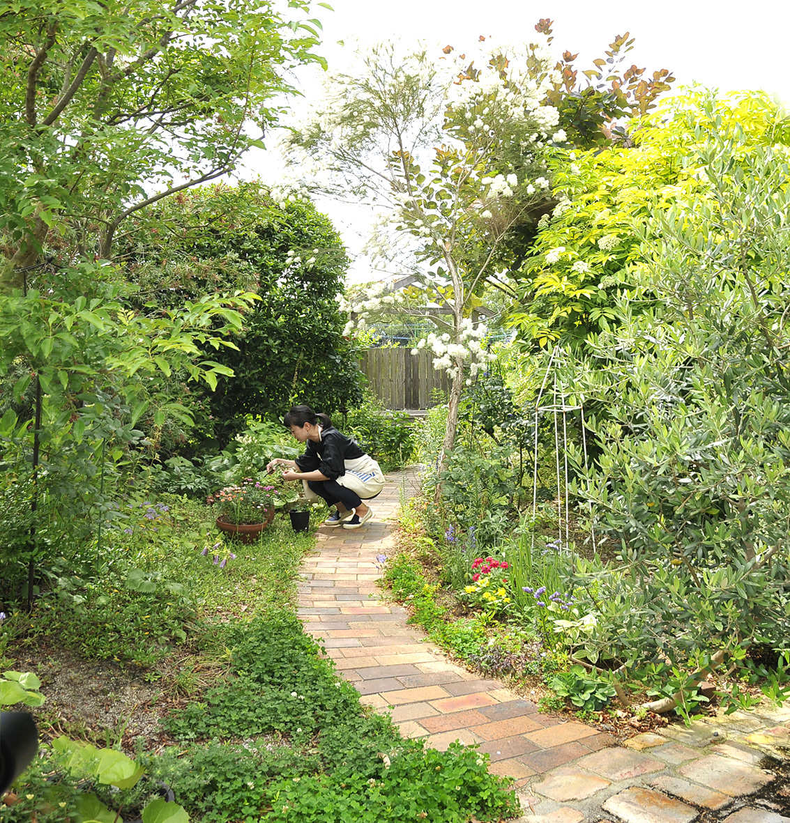 Image 10