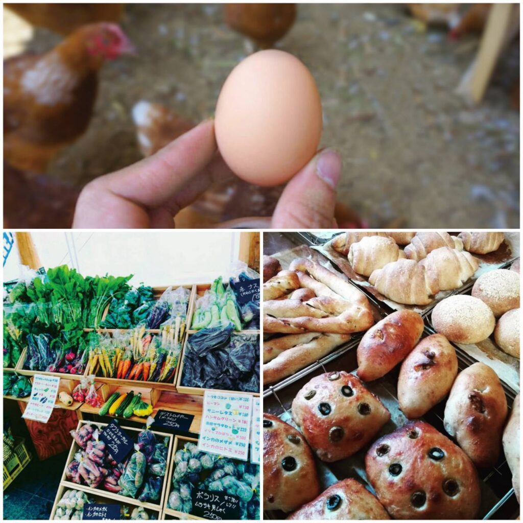 [6/28]やかまし村の朝市 未来工房｜福岡・佐賀・熊本の木の家づくり