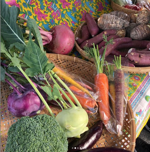 [1/31]やかまし村の朝市 未来工房｜福岡・佐賀・熊本の木の家づくり